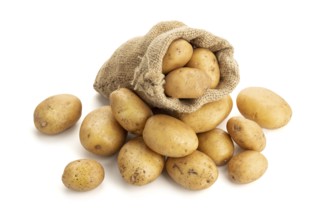 New potatoes in burlap sack isolated on white background. Raw potato