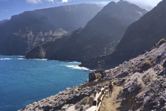 Hiking trail from Playa de la Caleta to Punta San Lorenzo, cliffs near Hermigua, La Gomera, Canary