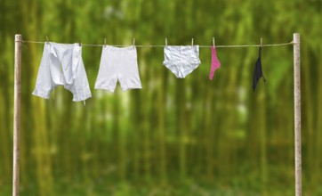 Clothesline with underwear from then and now