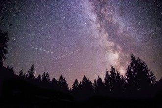 Milky way clear at night, silhouettes of trees
