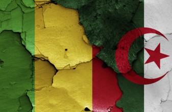 Flags of Mali and Algeria painted on cracked wall