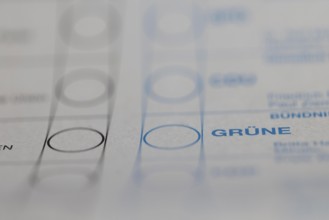 Postal vote, ballot paper for the Bundestag election, Cologne, North Rhine-Westphalia, Germany,