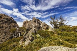 Landscape views at the summit of Porcupine Rocks on the Porcupine Walking Track on a summer's day