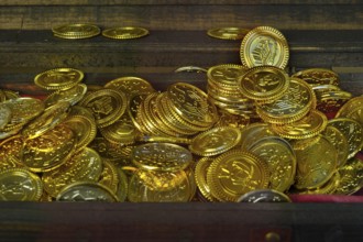 Shop window with decoration, treasure chest with gold coins, Germany, Europe