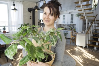 A happy woman in a green house with a potted plant in her hands smiles, takes care of a flower. The