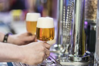 Barman picking up Two beer glasses in the tap of a pub