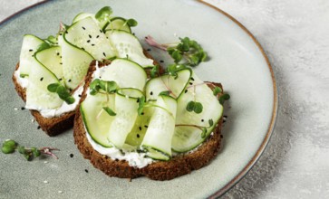 Breakfast, cereal bread sandwiches, cream cheese, sliced cucumber, with micro greenery on a light