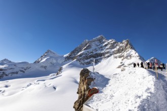 Mountain Peak Jungfrau 4158 Meters High and Aletsch Glacier in a Sunny Winter Day with Snowcapped
