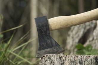 An ax or hatchet stuck in a tree stump in the background of a felled forest. Nature protection,