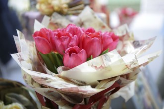 Bouquet of red tulips wrapped in colourful paper