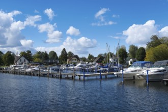 Marina on Lake Scharmützelsee, Wendisch-Rietz, Brandenburg, Germany, Europe
