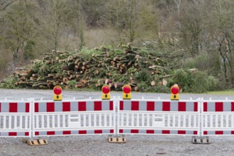 Stacked logs in a storage yard after helicopter transport from a difficult-to-access ravine forest,