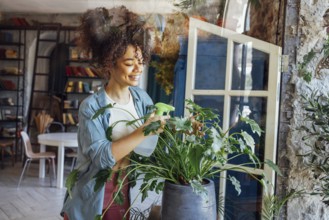 Happy plant lady. Young Afro American woman plant lover taking care of houseplant. Girl watering a