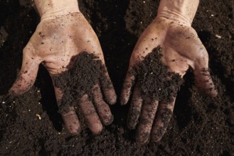 Farmer man hands dirty on substratum of urban garden orchard