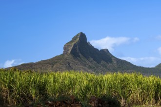 Mountain, Rempart Mountain, little Matterhorn, Cascavelle, west coast, Indian Ocean, island,