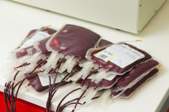 Blood from blood donors in the blood lab. Health and Welfare, Blood from blood donors in the blood