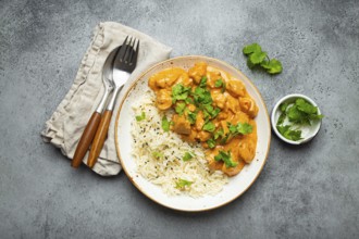 Traditional Indian dish chicken curry with basmati rice and fresh cilantro on rustic white plate on