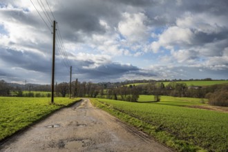 Rural country lane with electricity pylons, surrounded by green fields under a partly cloudy sky