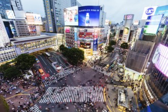 TOKYO, JAPAN, MAY 12, 2019, Shibuya Crossing is one of the world's most used pedestrian crossings,
