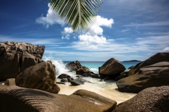 Tropical beach scenery with rocks and palm leaves, sky and sea meet on the horizon, La Digue,