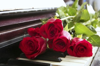 Classic red roses on piano vintage romantic valentines day