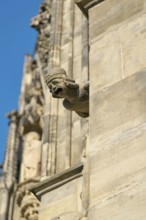 Sandstone gargoyle on the medieval façade of Magdeburg's Gothic cathedral