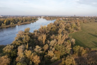 View over an autumnal river landscape with extensive forests, Elbe, Mageburg Cathedral on the