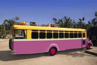 Colorful bus yellow and pink touristic tropical vehicle