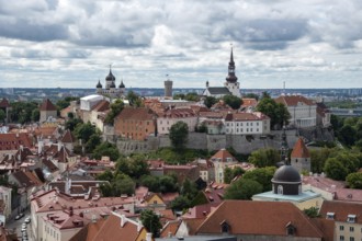 Tallinn Estonia cityscape. View from tower of Saint Olaf Church of old the city of Tallin. Toompea
