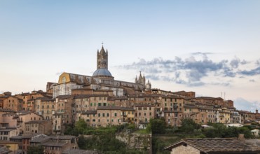 Siena is a city in Tuscany, Italy. It is the capital of the province of Siena