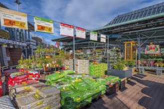 Planting soil in plastic bags and plants, outdoor area, DIY store, Allgäu, Bavaria, Germany, Europe