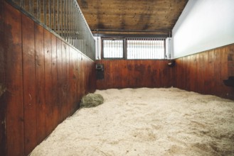 Empty stable, no horses inside the stables. Clean and empty horse boxes with fresh hay at the ranch