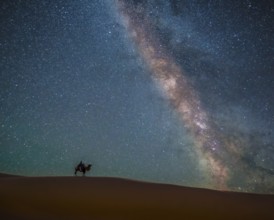 Night sky in the Gobi Desert