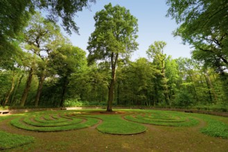 The Wheel Historical Lawn Maze in the Eilenriede of Hanover, Lower Saxony, Germany, Europe