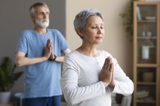 Active senior people doing yoga home
