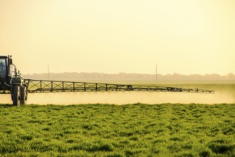 Tractor sprays fertilizer on wheat field