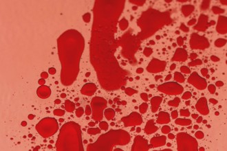 Macro of drops of red food color on cooking oil with back light through red photography gel