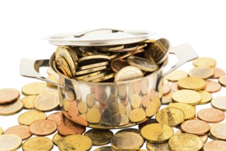 A cooking pot is filled with euro coins, symbolic photo for Fördergelder Austria