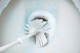 Cleaning a toilet bowl with a brush and strong chemical cleaning foam that pollutes the