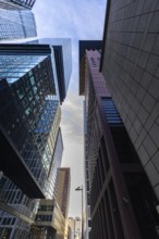 Look up in the morning in the middle of the skyline. Tower blocks and modern glass fronts at
