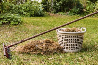 Autumn in the garden, autumn in garden