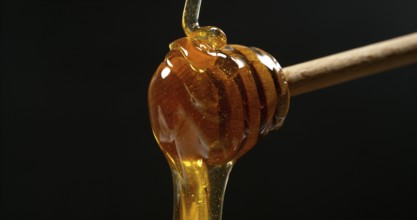 Honey Flowing in a spoon against Black Background