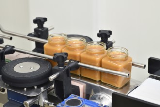 Jars of creamed honey in a packaging line at a commercial honey factory