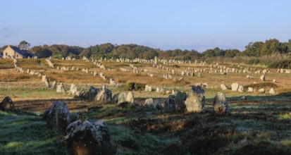 Prehistoric stone rows from Menec, Alignements de Carnac, Morbihan department, Bretagne Breizh