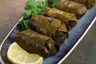 Dolma, minced meat with rice, in grape leaves, rolls with minced meat, on a plate, top view, no
