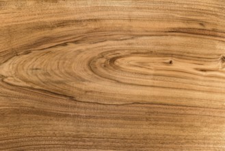 Background and textures of Walnut wood decorative furniture surface