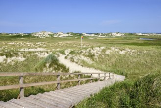 Dune landscape with the North Sea on the horizon, Amrum, North Frisian Island, North Frisia,