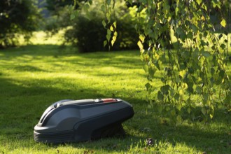 Ein Rasenmähroboter auf einer grünen Wiese im Sonnenlicht in einem Garten mit Bäumen, The mowing