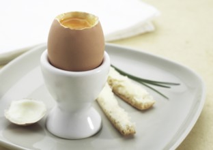 Chicken Egg, Chicken Eggs, Eggs, Soft-Boiled Egg in Egg Cup