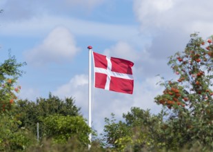 Danish flag waving in the wind on sjaelland